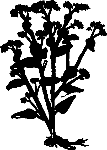 082/082460030000940_0.png