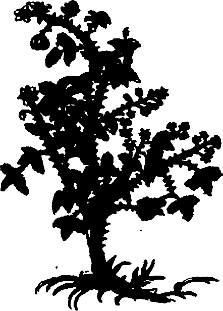 082/082460030000940_2.png