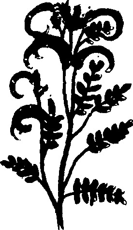 082/082460030001010_1.png