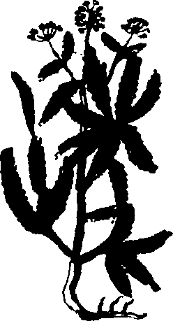 082/082460030001010_2.png