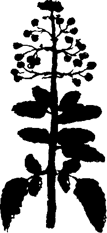 082/082460030001010_3.png