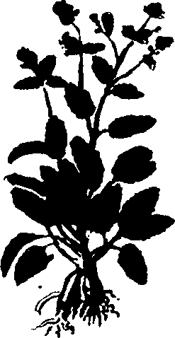 082/082460030001010_4.png