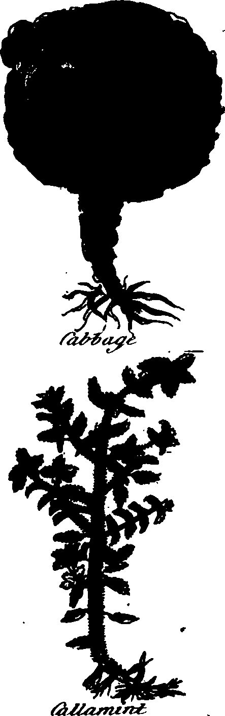 082/082460030001340_0.png