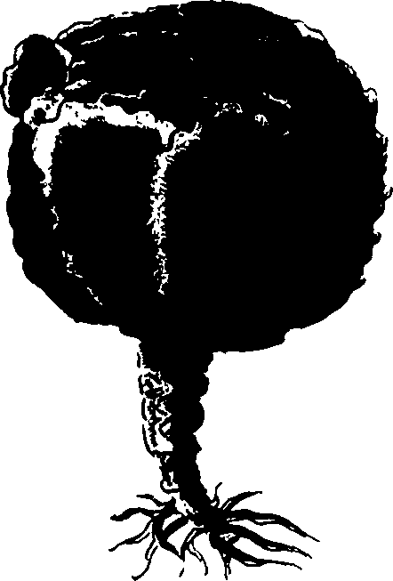 082/082460030001360_1.png