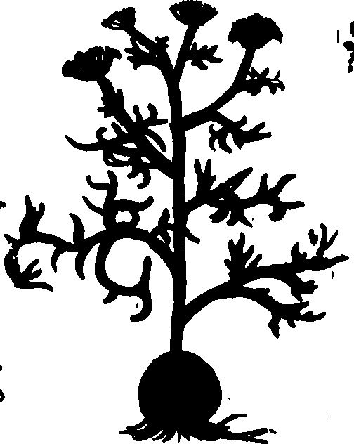 082/082460030001470_0.png