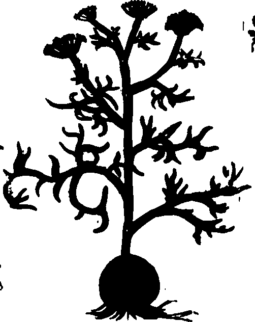 082/082460030001490_0.png