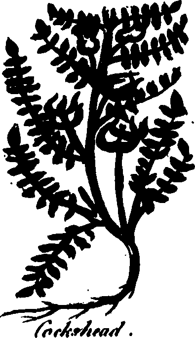 082/082460030001600_0.png