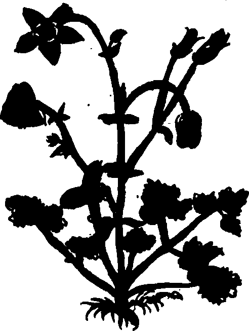 082/082460030001600_1.png