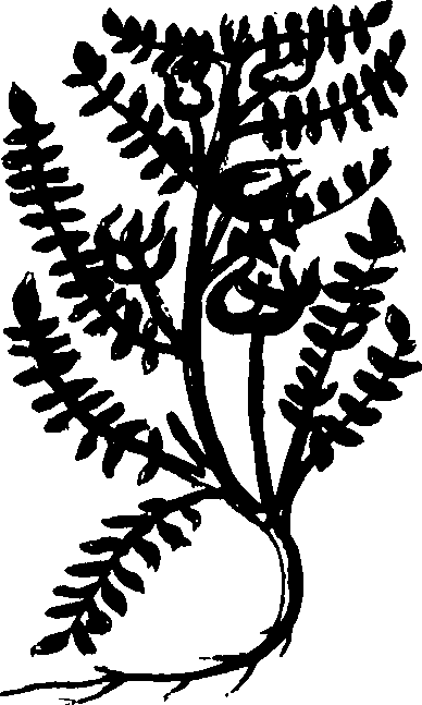 082/082460030001620_0.png