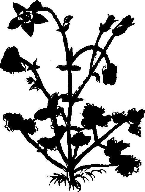082/082460030001620_1.png