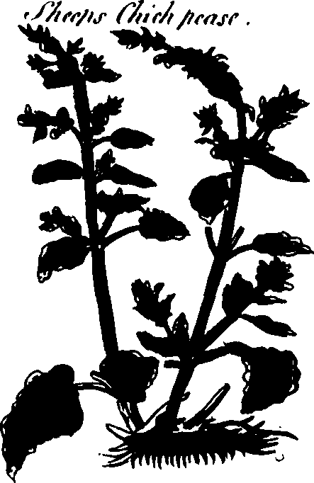 082/082460030001620_2.png