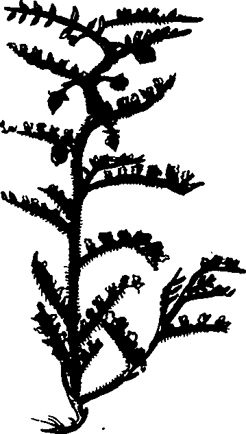 082/082460030001620_3.png