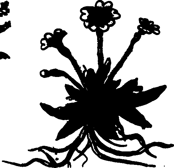 082/082460030001690_0.png