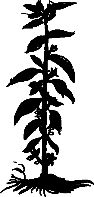 082/082460030001710_0.png