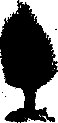 082/082460030001760_0.png
