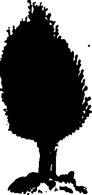 082/082460030001780_0.png