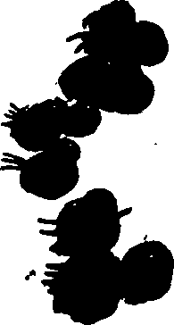 082/082460030001950_1.png