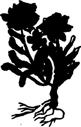 082/082460030001950_2.png