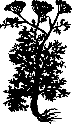 082/082460030001950_3.png