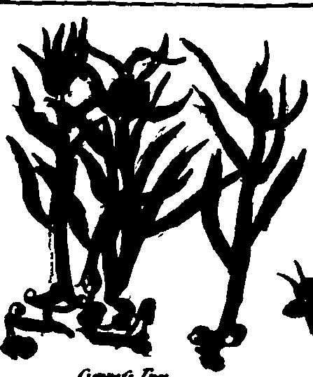 082/082460030001950_4.png