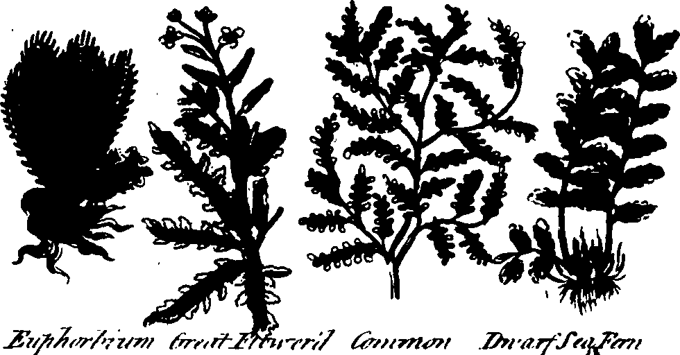 082/082460030002180_1.png