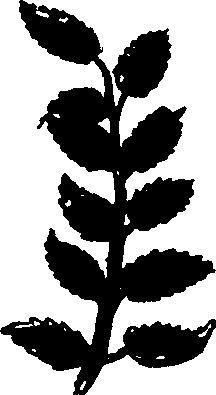 082/082460030002180_2.png