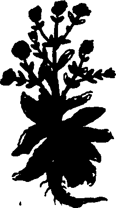 082/082460030002180_3.png