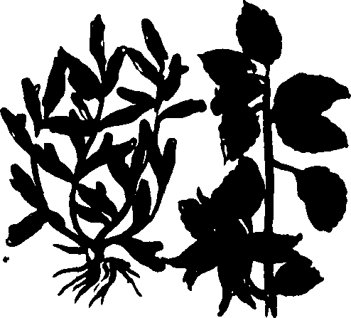 082/082460030002350_0.png