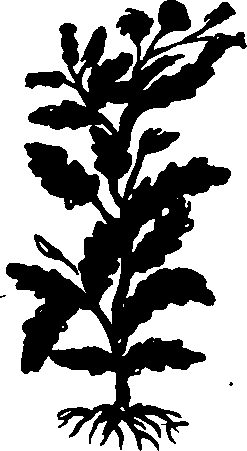 082/082460030002350_1.png