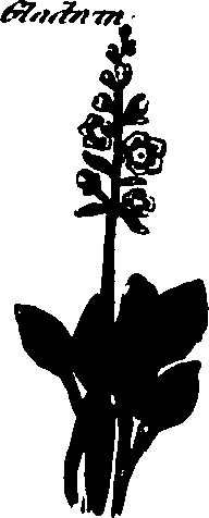 082/082460030002350_2.png