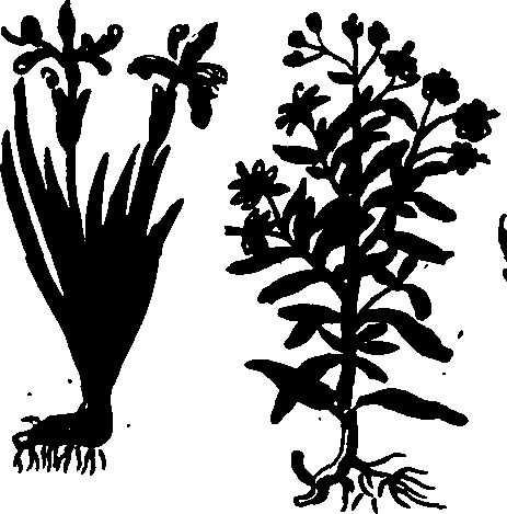 082/082460030002350_3.png