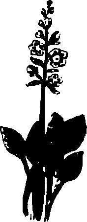 082/082460030002370_1.png