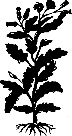 082/082460030002370_2.png