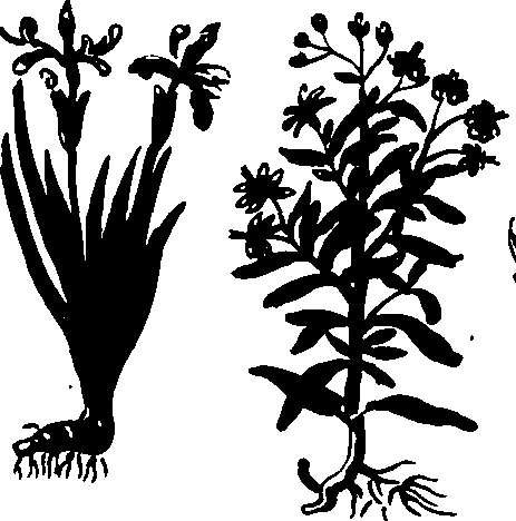 082/082460030002370_3.png