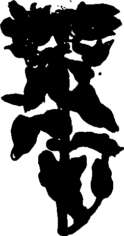 082/082460030002540_1.png