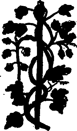 082/082460030002540_2.png