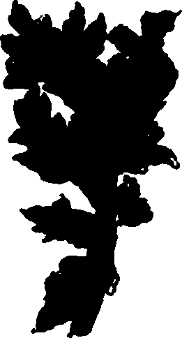 082/082460030002540_4.png