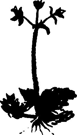 082/082460030002560_0.png
