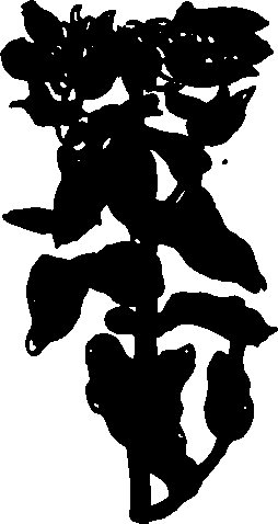 082/082460030002560_1.png