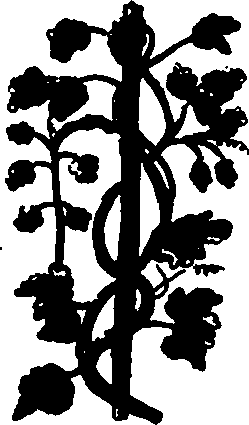 082/082460030002560_2.png
