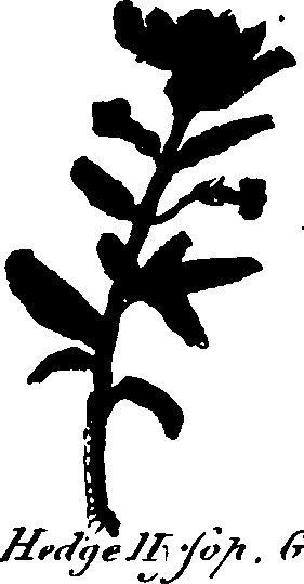 082/082460030002560_3.png