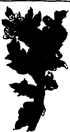 082/082460030002560_4.png