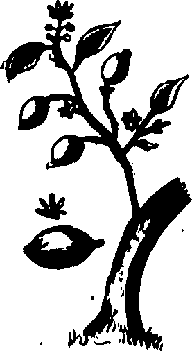 082/082460030002850_0.png