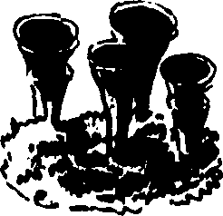082/082460030002960_0.png