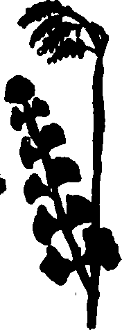 082/082460030002960_1.png
