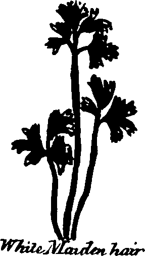 082/082460030002960_3.png