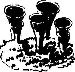 082/082460030002980_0.png