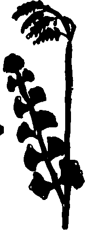 082/082460030002980_1.png