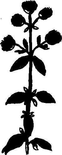 082/082460030002980_2.png