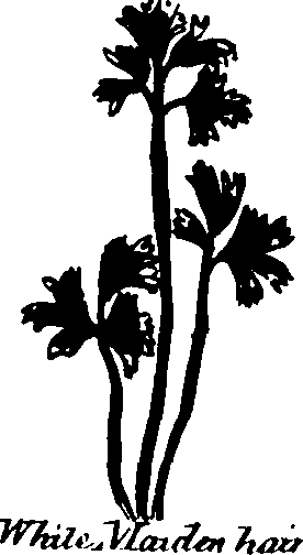 082/082460030002980_3.png
